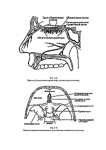 Terapia czaszkowo-krzyżowa. Księga 2